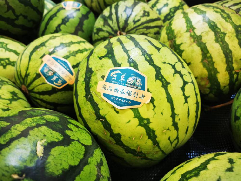 每斤7元！超市现“虫草西瓜”，真有虫草？