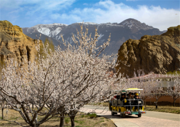 4月8日，游客乘观光车在青海贵德国家地质公园游览。新华社记者 黄豁 摄