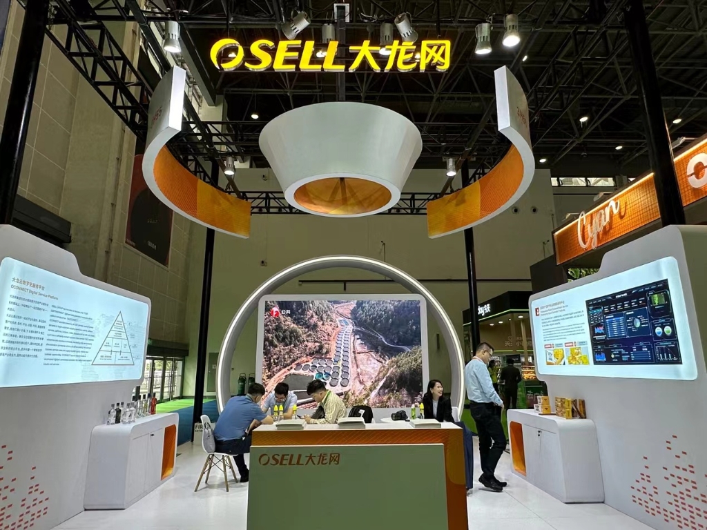 大龙网集团2023消博会展台。受访者供图