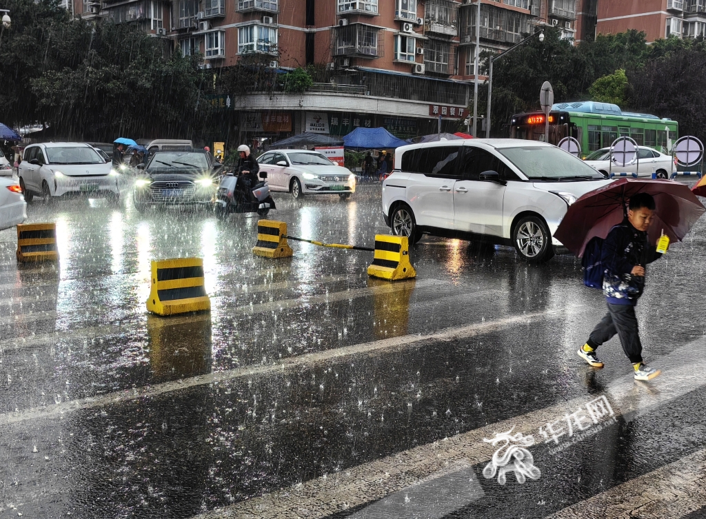 4月12日早,重庆市江北区,市民出行遇到突降大雨。华龙网-新重庆客户端记者 张质 摄