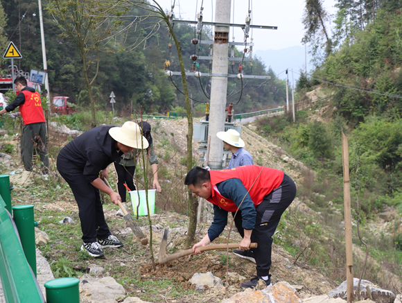 云陽縣清水土家族鄉(xiāng)開展義務(wù)植樹活動