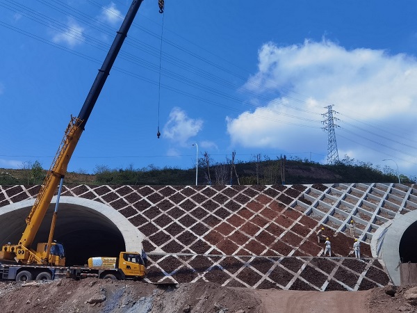 项目主要结构物含四座桥梁和一座隧道。出行车重庆市渝北区建设管理事务中心供图