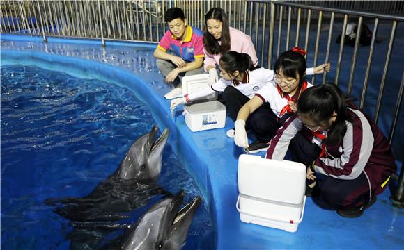 饲养员带领师生给海豚喂食。通讯员 陈仕川 摄
