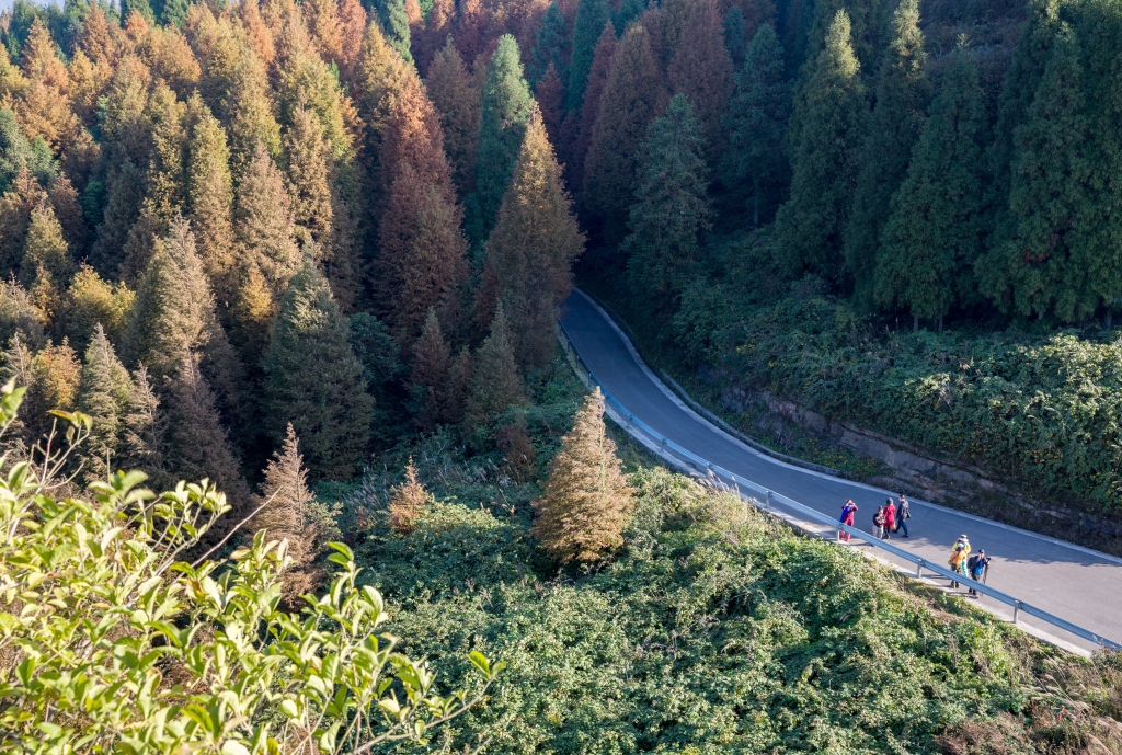 南川山王坪景区图片