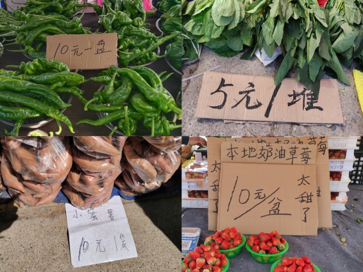 “我，20岁，大学生，在北京不赶早课赶大集”3