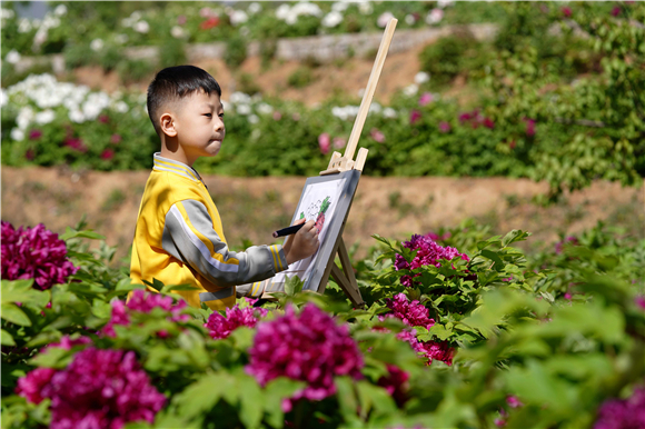 小朋友在白台峪村牡丹农业产业园内写生。新华社记者 骆学峰 摄