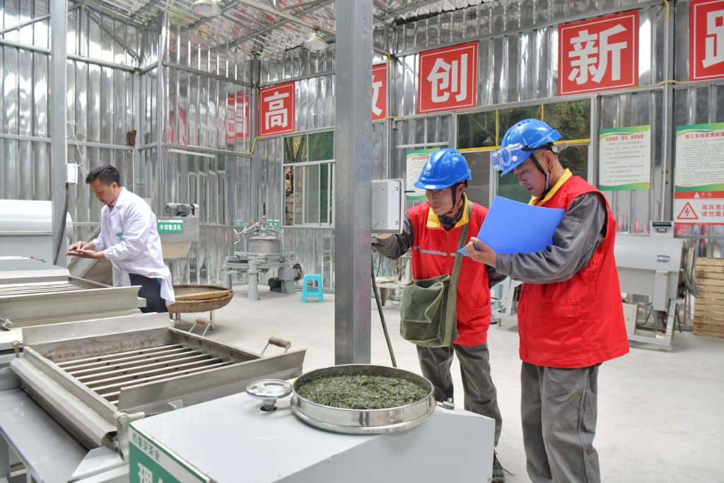 国网酉阳供电公司员工在西馨芽茶业专业合作社开展用电检查。国网重庆电力供图