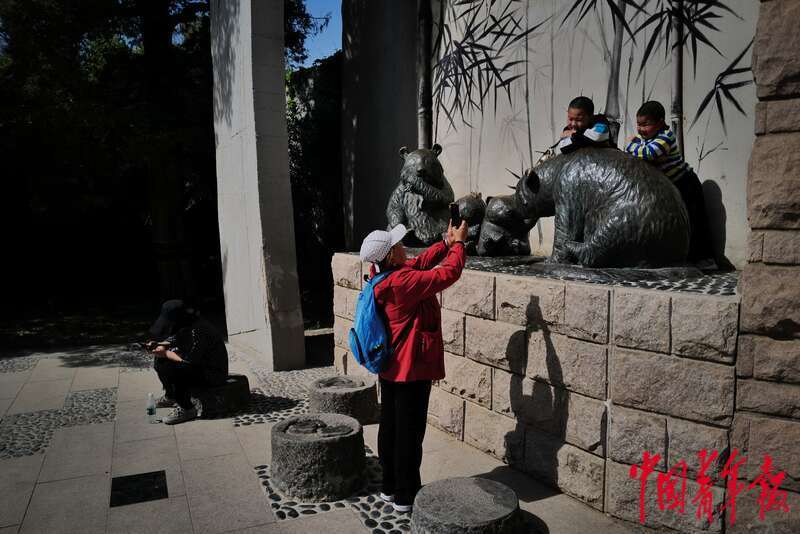 “丫丫”掀起“国宝热”!动物园熊猫馆人挤人!7