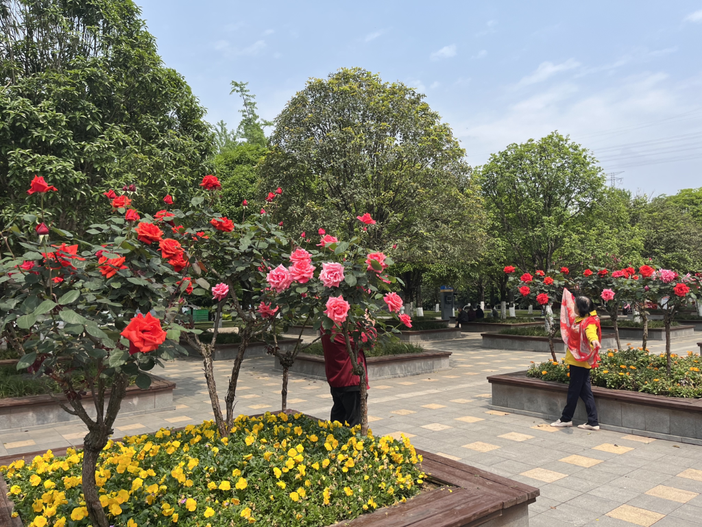 Tourists taking photos. (Photo provided by Chongqing Garden Expo Park)