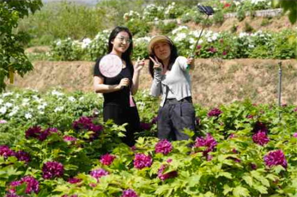 4月16日，游客在白台峪村牡丹农业产业园拍照游玩。新华社记者 骆学峰 摄