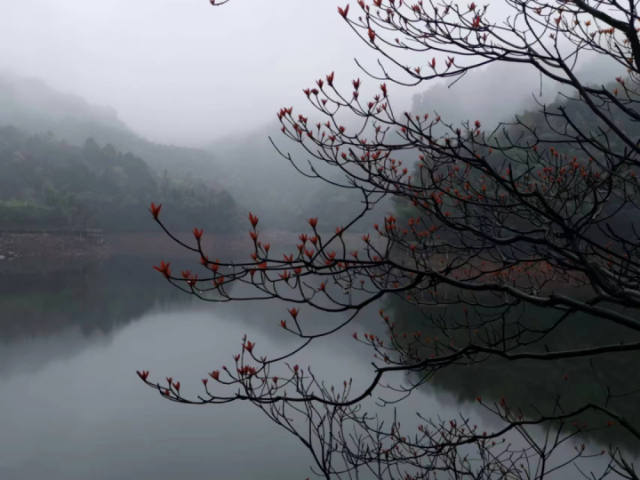 曾绍仑：与春影紧紧相随7