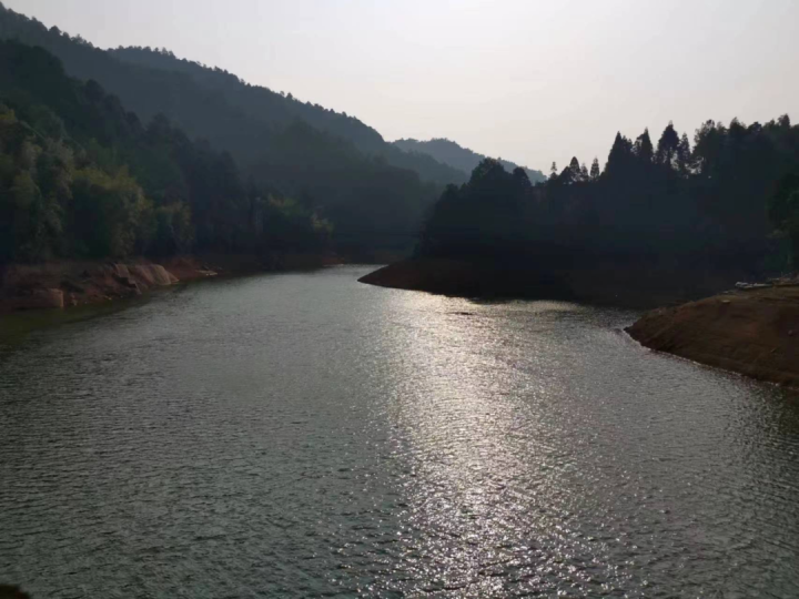 曾绍仑：与春影紧紧相随2