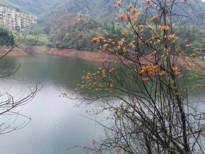 曾绍仑：与春影紧紧相随1