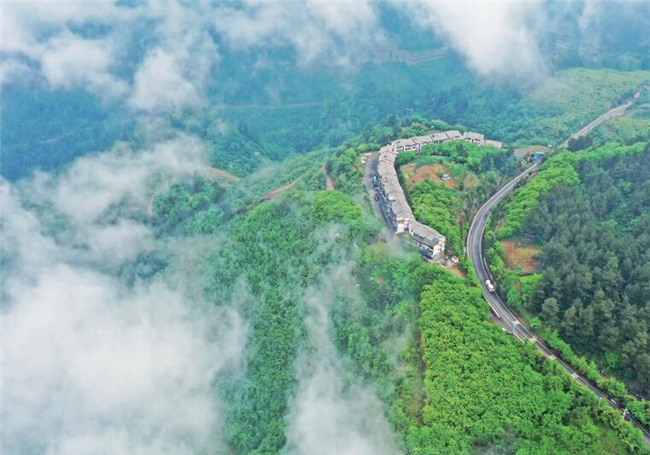 在润溪乡樱桃井村，治理后的石漠化区域林木葱郁，青翠的群山、便捷的交通与美丽的村庄，共同构成了美丽的乡村画卷。彭水日报记者 赵勇 摄