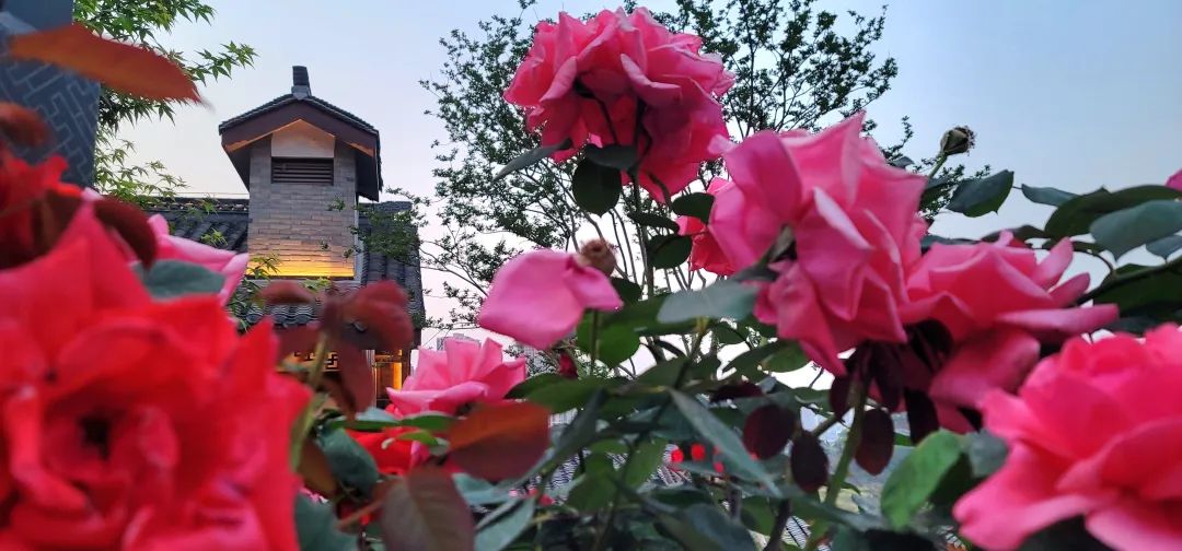 周鹊虹：黄昏的后街7