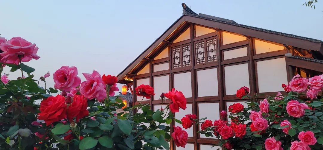 周鹊虹：黄昏的后街6