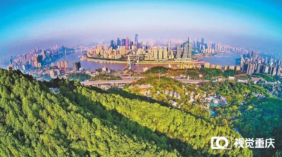 重庆瞭望丨“网红经济”升级版,重庆怎么拼?5