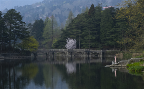 4月11日，游客在江西省九江市庐山风景区如琴湖游览。新华社记者 邬惠我 摄