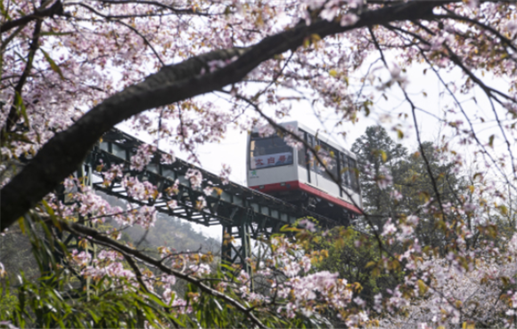 这是4月12日在江西省九江市庐山风景区三叠泉拍摄的缆车。新华社记者 邬惠我 摄
