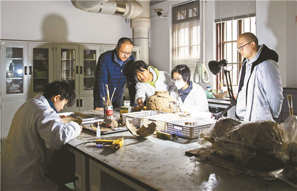 文物修复室中，文物修复师聚在一起研究文物修复工作。王欢 摄