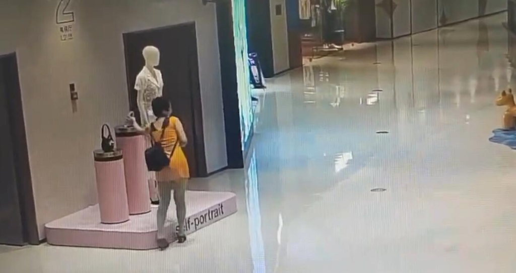 1女子盗窃手提包，被公共视频拍下。重庆江北警方供图