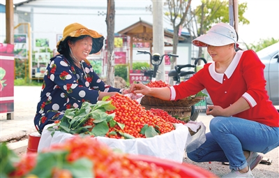 仁贤街道仁贤村，市民在购买樱桃。记者 向成国 摄