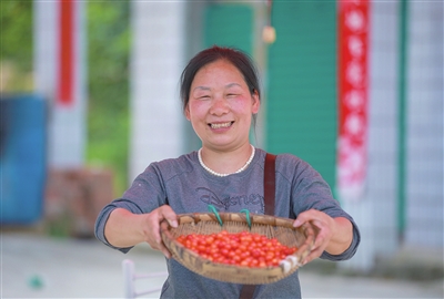 文化镇永远村，村民在展示丰收的樱桃。记者 熊伟 摄