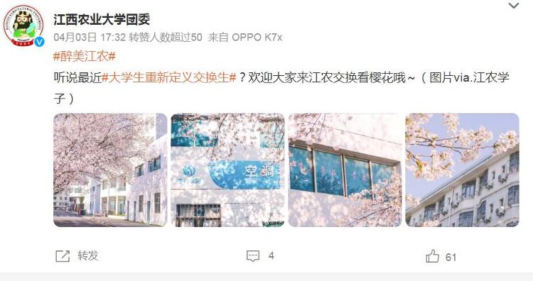大学生互换身份上课、住宿、深度游？限时“交换人生”须谨慎4