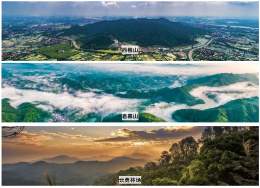 佛山部分山林