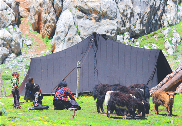 类乌齐县“黑帐篷”牧场生活。长寿区文化旅游委供图 华龙网发