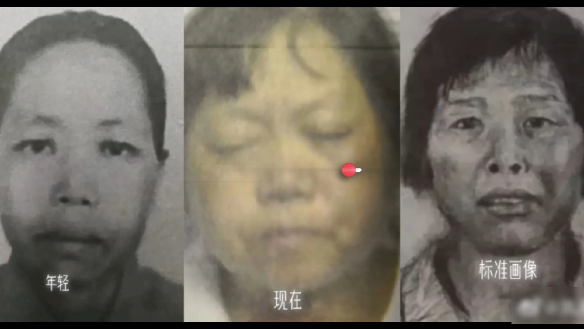 🐸 角色介紹《終焉世界的亡者》🐸 󠀠 當世界崩壞，人性才真正