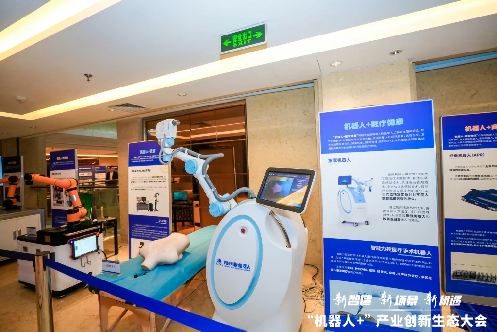 现场展出的机器人。主办方供图