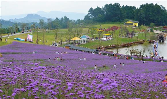 5横山花仙谷景区。綦江旅游度假区供图