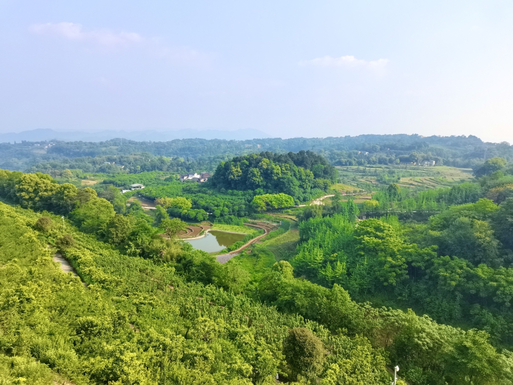 視頻重慶農家樂與鄉村旅遊如何提高競爭力產品是關鍵