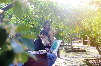 3万石耕春·梁平柚海，老师带着学生在柚园里写生。记者 向成国 摄
