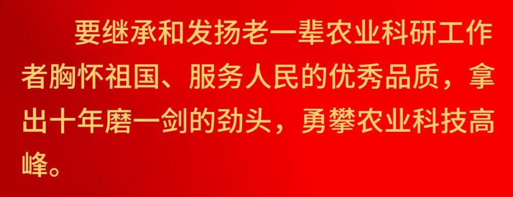 镜观·领航|奋斗创新成就未来10