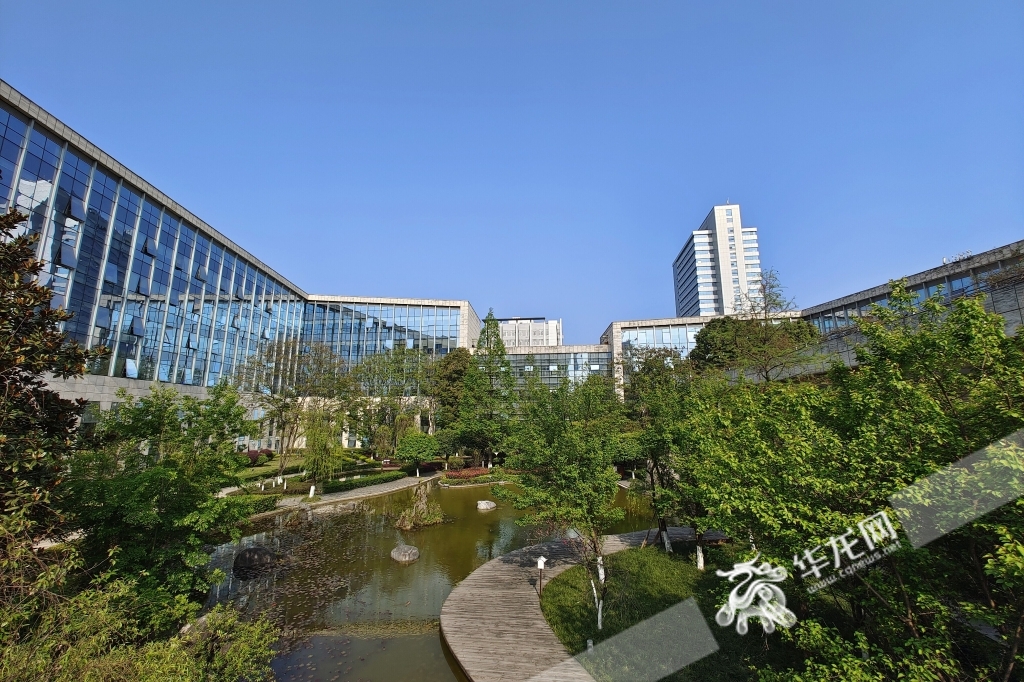 今天重庆中心城区持续晴好天气,阳光明媚。华龙网-新重庆客户端记者 石涛 摄