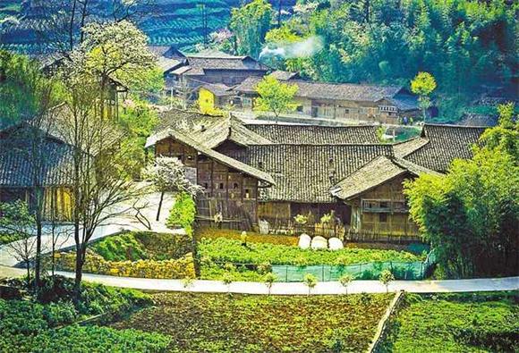 金竹林村现已入选重庆市第二批历史文化名村。仙女湖镇党政办供图 华龙网发