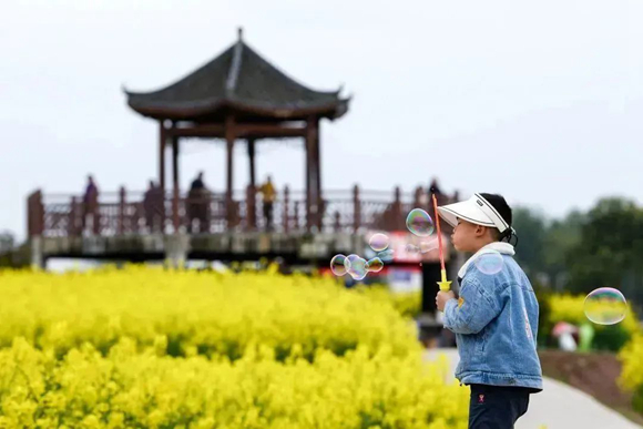 10詹剑《乐在花海》