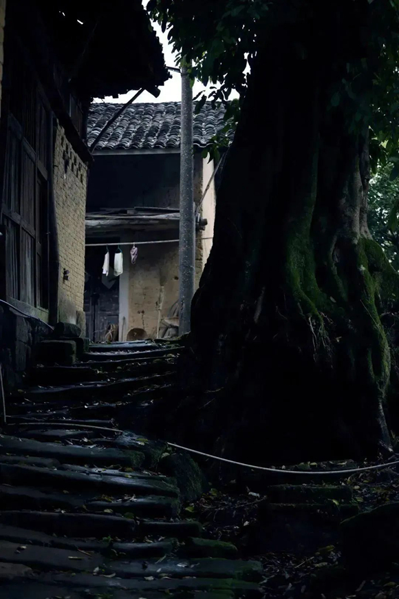 15陶成川《沉淀》