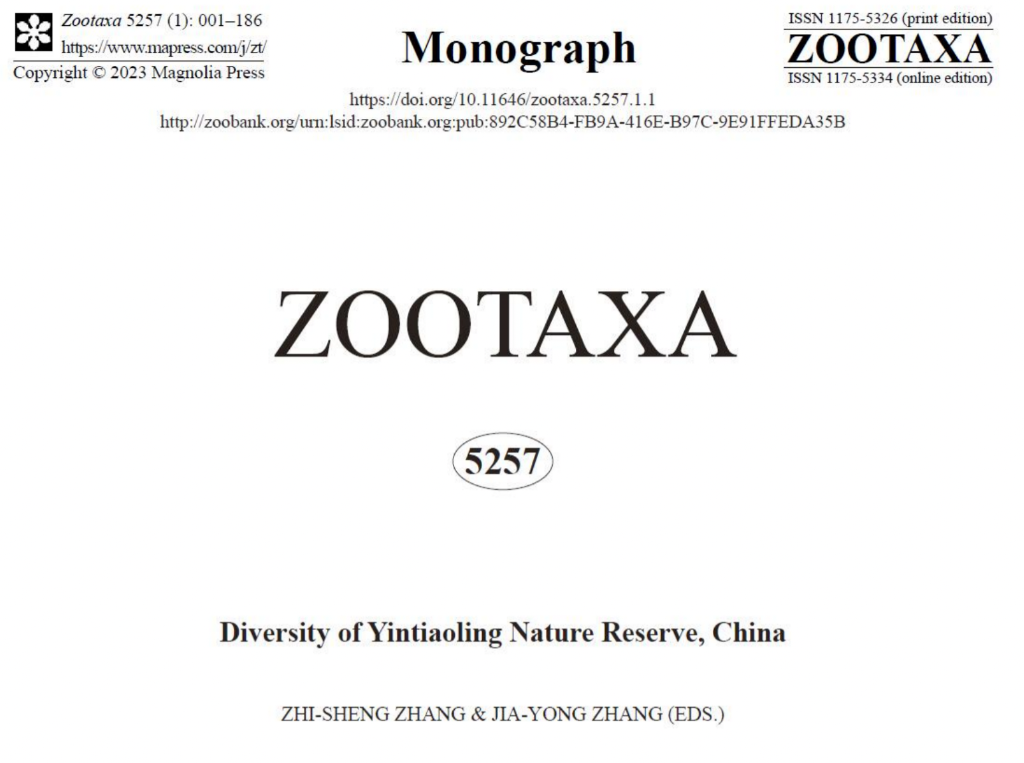 专刊截图。