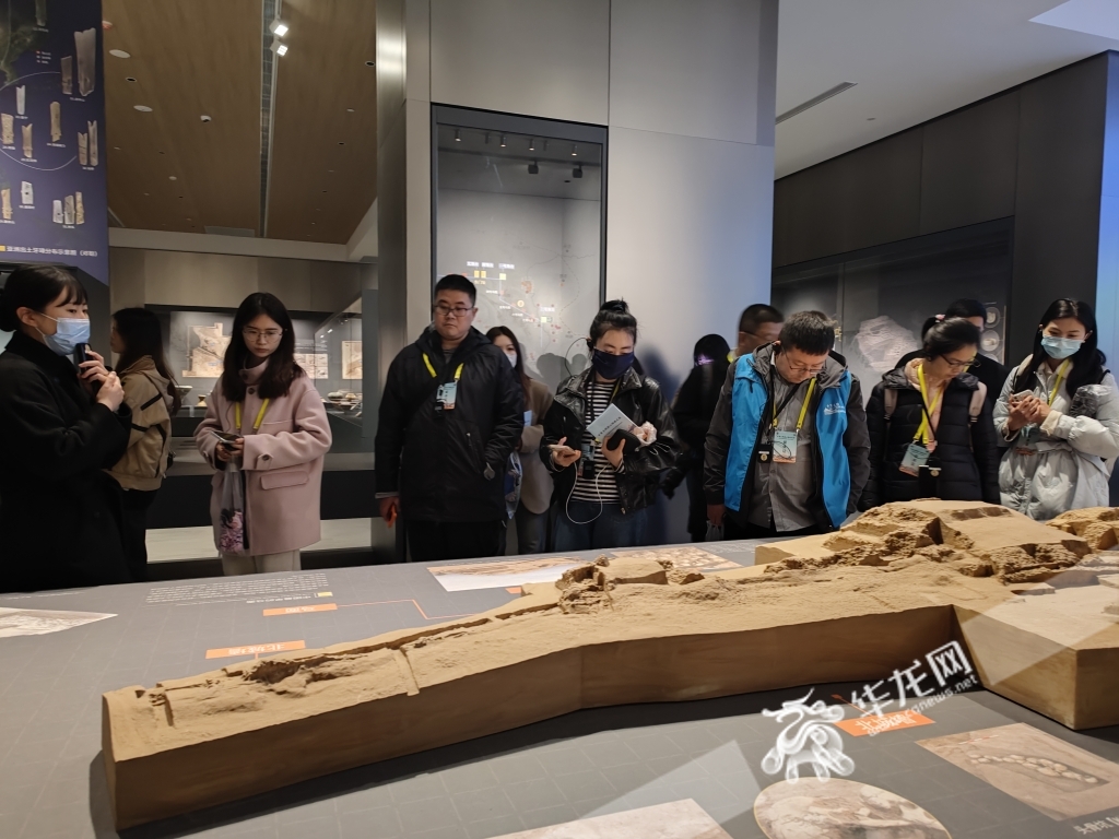 媒体团在陕西考古博物馆参访。华龙网-新重庆客户端 简梦 摄