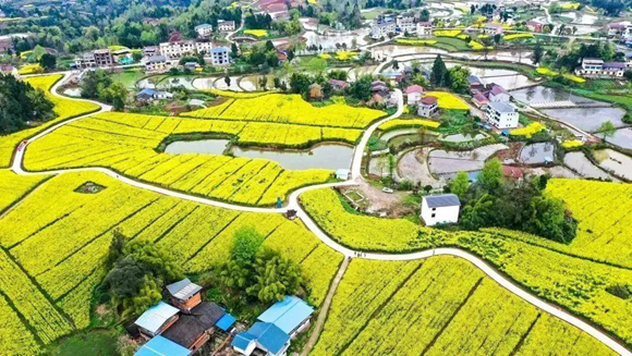 12詹剑《俯瞰灌湖水乡》