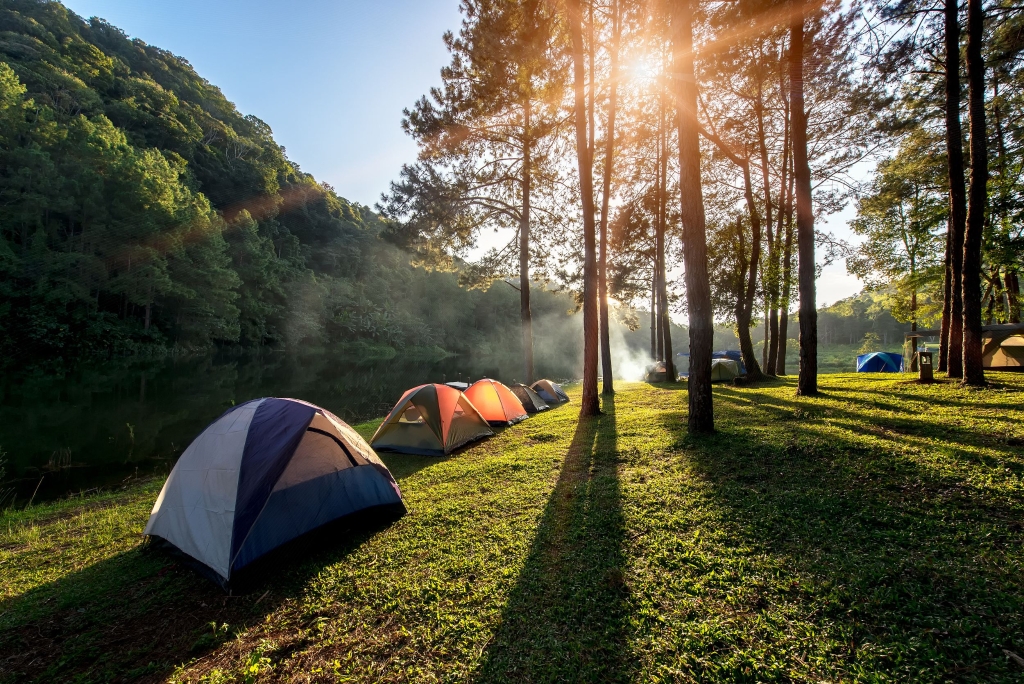 露营是一日春游热门选项。携程供图