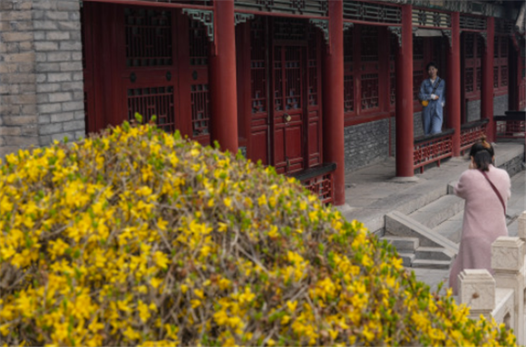 4月4日，游客在沈阳故宫拍照留念。新华社记者 潘昱龙 摄