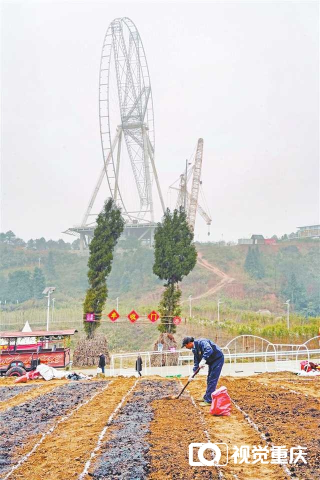 非农企业“跨界” 为农业注入新活力1