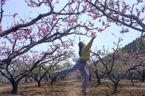 4月2日，游客在张山子镇万亩桃花峪游玩。新华社记者 范长国 摄