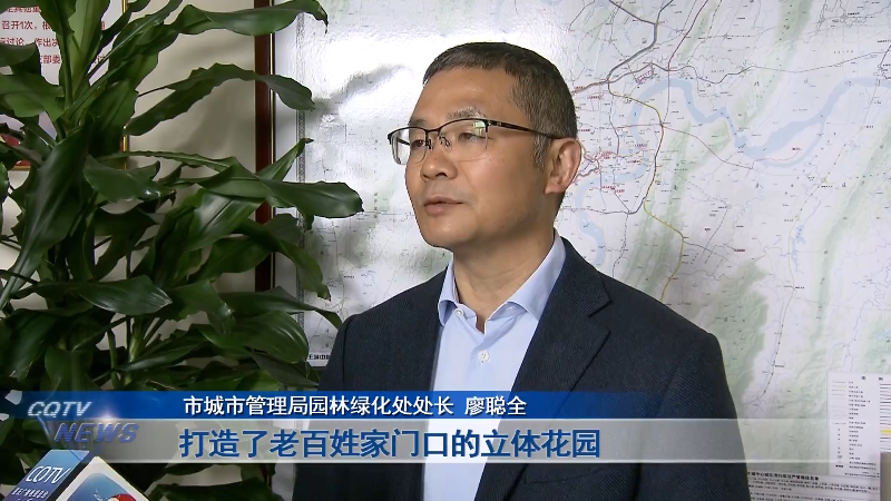 重庆“坡坎崖”大变身 家门口的”立体花园”又+212