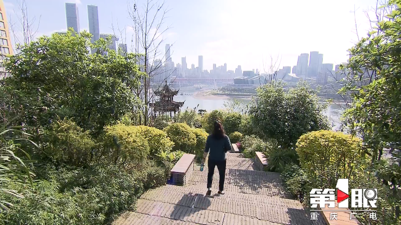 重庆“坡坎崖”大变身 家门口的”立体花园”又+21