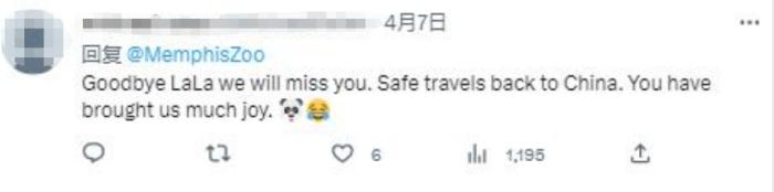 孟菲斯动物园为“丫丫”办告别派对 网友:祝一路平安